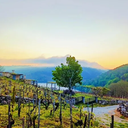 Feriehus Casina Raiz Entre Vinas Y Cielo Ribeira Sacra