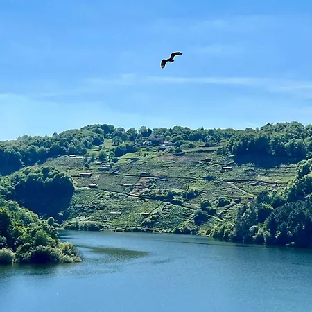 Casina Raiz Entre Vinas Y Cielo Ribeira Sacra Semesterbostad Chantada