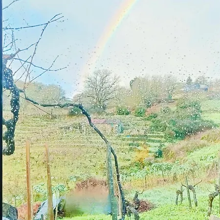 Casina Raiz Entre Vinas Y Cielo Ribeira Sacra