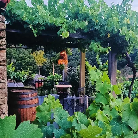 Casina Raiz Entre Vinas Y Cielo Ribeira Sacra Chantada