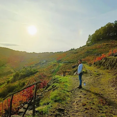 Feriehus Casina Raiz Entre Vinas Y Cielo Ribeira Sacra