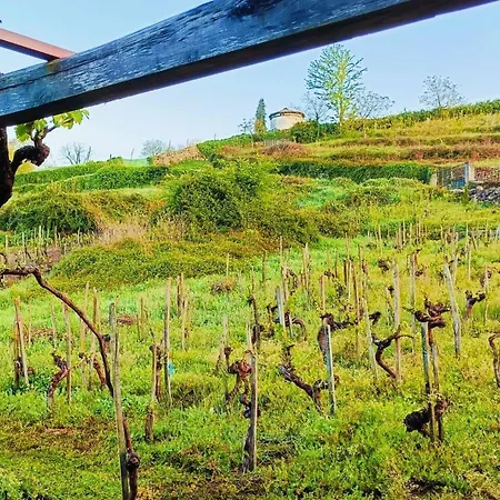 Casina Raiz Entre Vinas Y Cielo Ribeira Sacra *