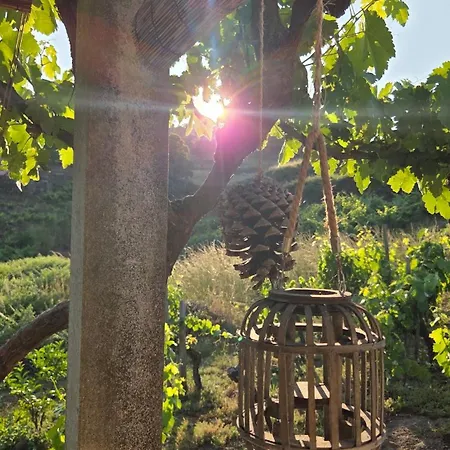 Casina Raiz Entre Vinas Y Cielo Ribeira Sacra