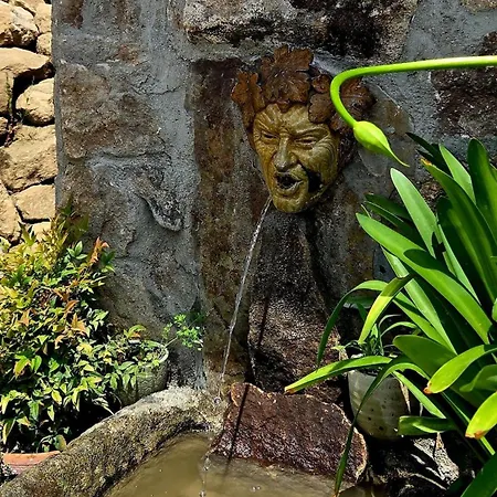Feriehus Casina Raiz Entre Vinas Y Cielo Ribeira Sacra