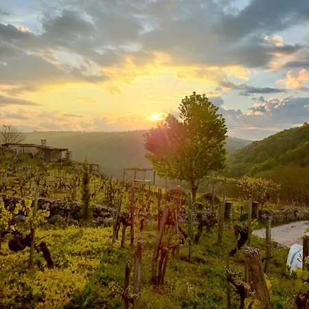 Casina Raiz Entre Vinas Y Cielo Ribeira Sacra Chantada