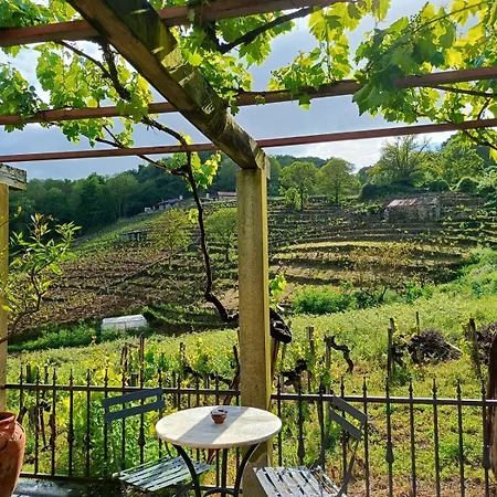 Casina Raiz Entre Vinas Y Cielo Ribeira Sacra Feriehus *