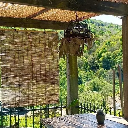 Feriehus Casina Raiz Entre Vinas Y Cielo Ribeira Sacra *