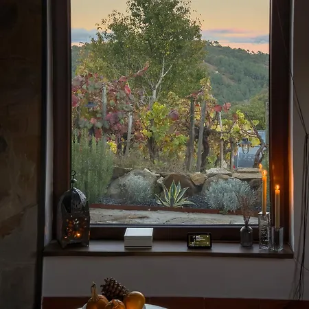 Casina Raiz Entre Vinas Y Cielo Ribeira Sacra