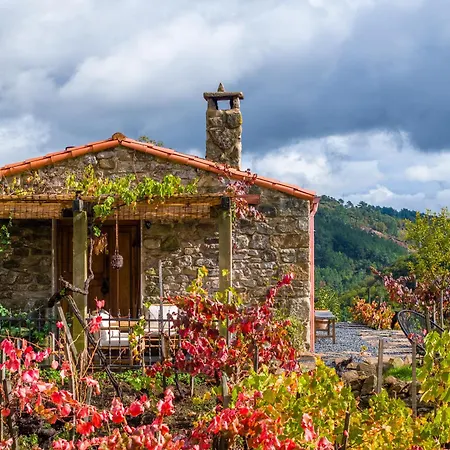 Casina Raiz Entre Vinas Y Cielo Ribeira Sacra Semesterbostad Chantada