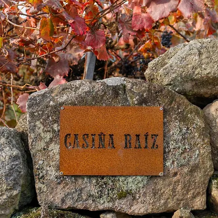 Casina Raiz Entre Vinas Y Cielo Ribeira Sacra Chantada